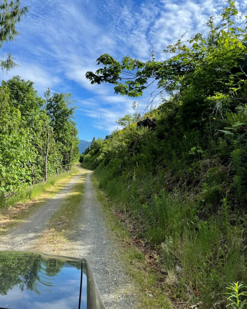 AFTER: Looking up the main drive